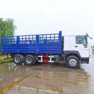 Howo 6x4 Cargo Truck